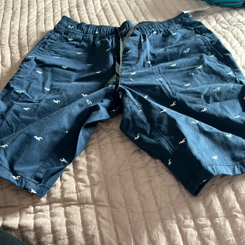 Hollister boys shorts young adult